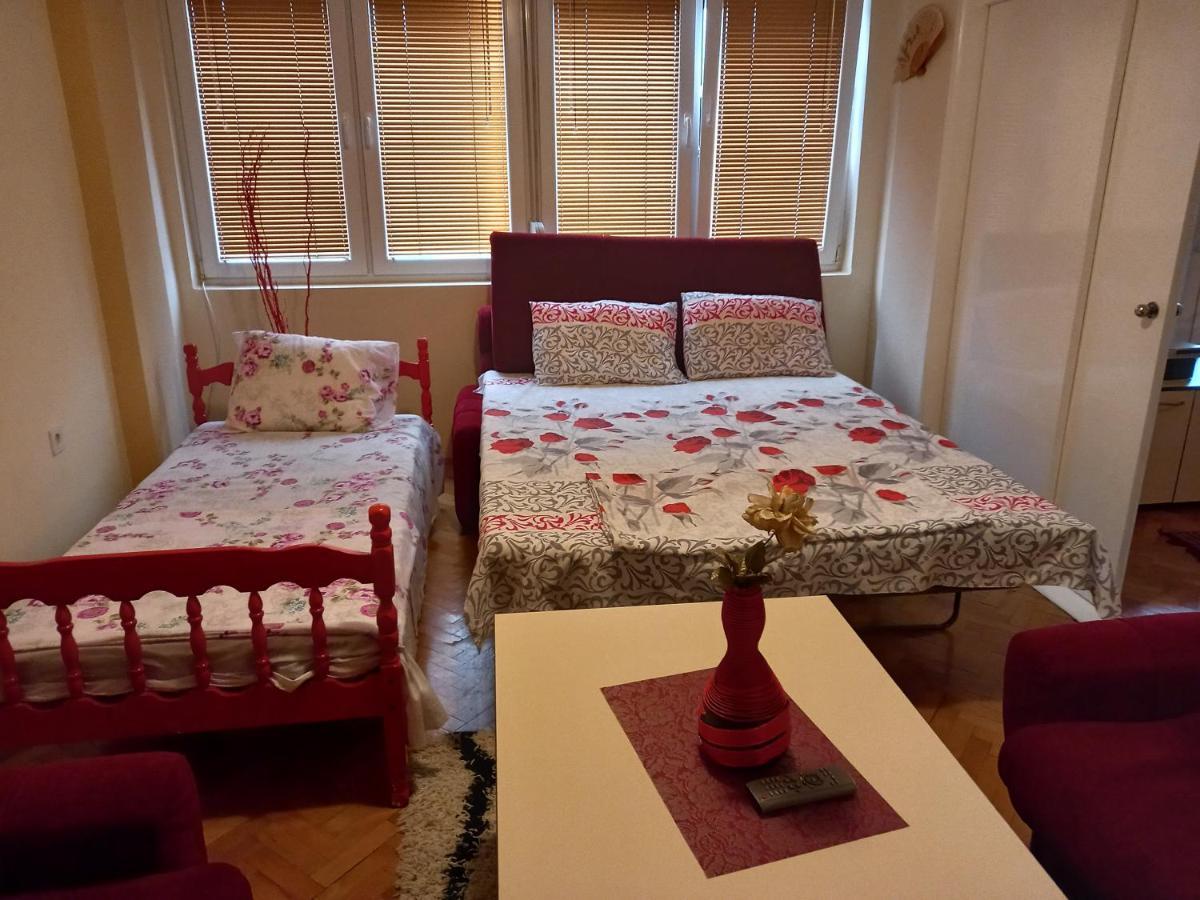 Apartment Biljana أوهغيد المظهر الخارجي الصورة